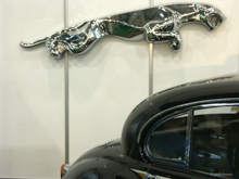 Jaguar Emblem