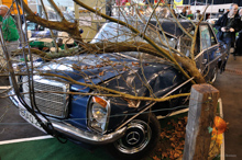 Mercedes /8 mit Mercedes /8 mit