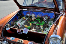 VW 1500 / 1600 Typ 3 Stufenheck 'Pimp up my Car' - aus Australien (RHD), die Plexihaube ist die Originalhaube vom ersten Typ 3, der erstmals auf der IAA 1961 vorgestellt wurde - darunter Darstellung 'Great Barrier Reef'.
