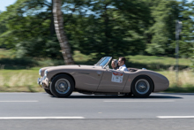 Austin Healey 100/4 (1956)