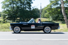 Ford Thunderbird  (1955)