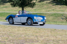 Austin Healey 100/4 (1956)