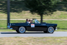 Ford Thunderbird  (1955)