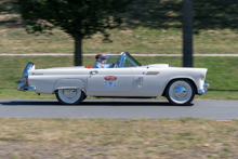 Ford Thunderbird  (1955)