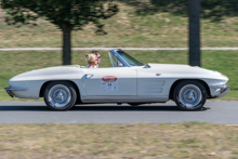 Chevrolet Corvette C2 Convertible (1964)