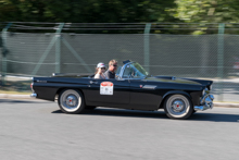 Ford Thunderbird  (1955)