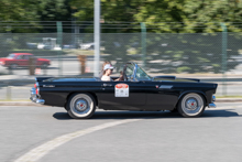 Ford Thunderbird  (1955)