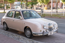 Mitsuoka Viewt