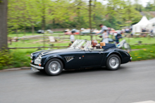 Austin Healey 3000 Replica