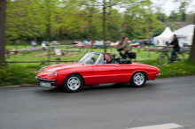 Alfa Romeo Spider