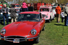 Jaguar E-Type Series 3