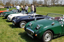 Austin-Healey Sprite Mk. I Froschauge