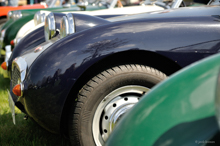 Austin-Healey Sprite Mk. I Froschauge