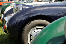 Austin-Healey Sprite Mk. I 