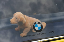 BMW 1800 Wackeldackel