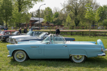 Ford Thunderbird (1955)