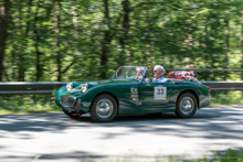 Austin-Healey Sprite Mk. 1 Frogeye