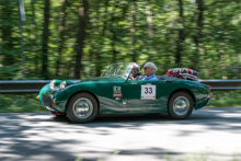 Austin-Healey Sprite Mk. 1 Frogeye