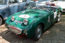 Austin Healey Mk 1 Frogeye