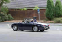 Austin Healey Sprite Mk. I Froschauge