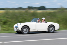 Austin Healey Sprite Mk I Froschauge