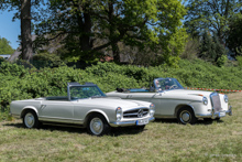 vorn: Mercedes Benz 280 SL Pagode hinten: Mercedes Benz 220 S Cabriolet W180 (1958)